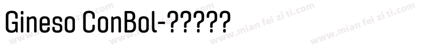 Gineso ConBol字体转换